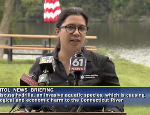 Press Conference: The Threat of Hydrilla in the Connecticut River