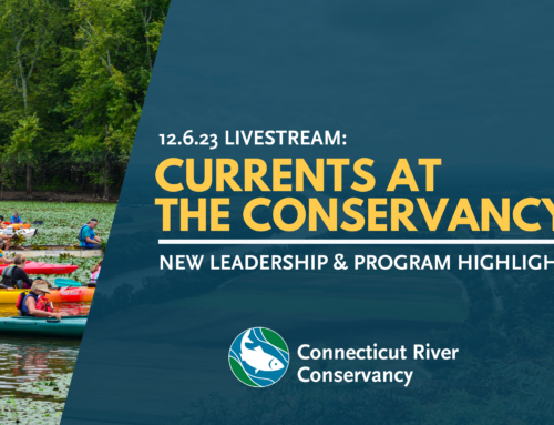 Currents at the Conservancy: New Leadership and Program Highlights