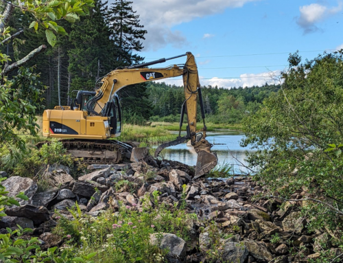 Dam Removal Report Illuminates the Effects of Stream Barriers